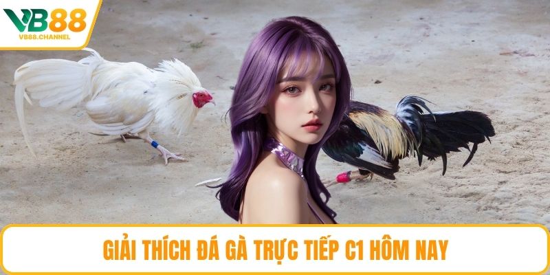Giải thích đá gà trực tiếp C1 hôm nay